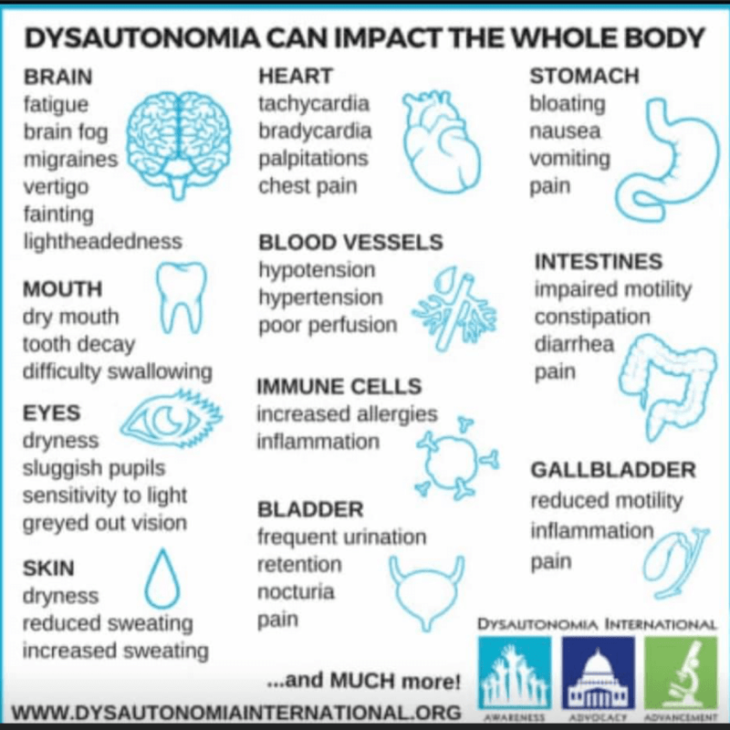All The Ways Dysautonomia, EDS, and MCAS Affect&nbsp;Me